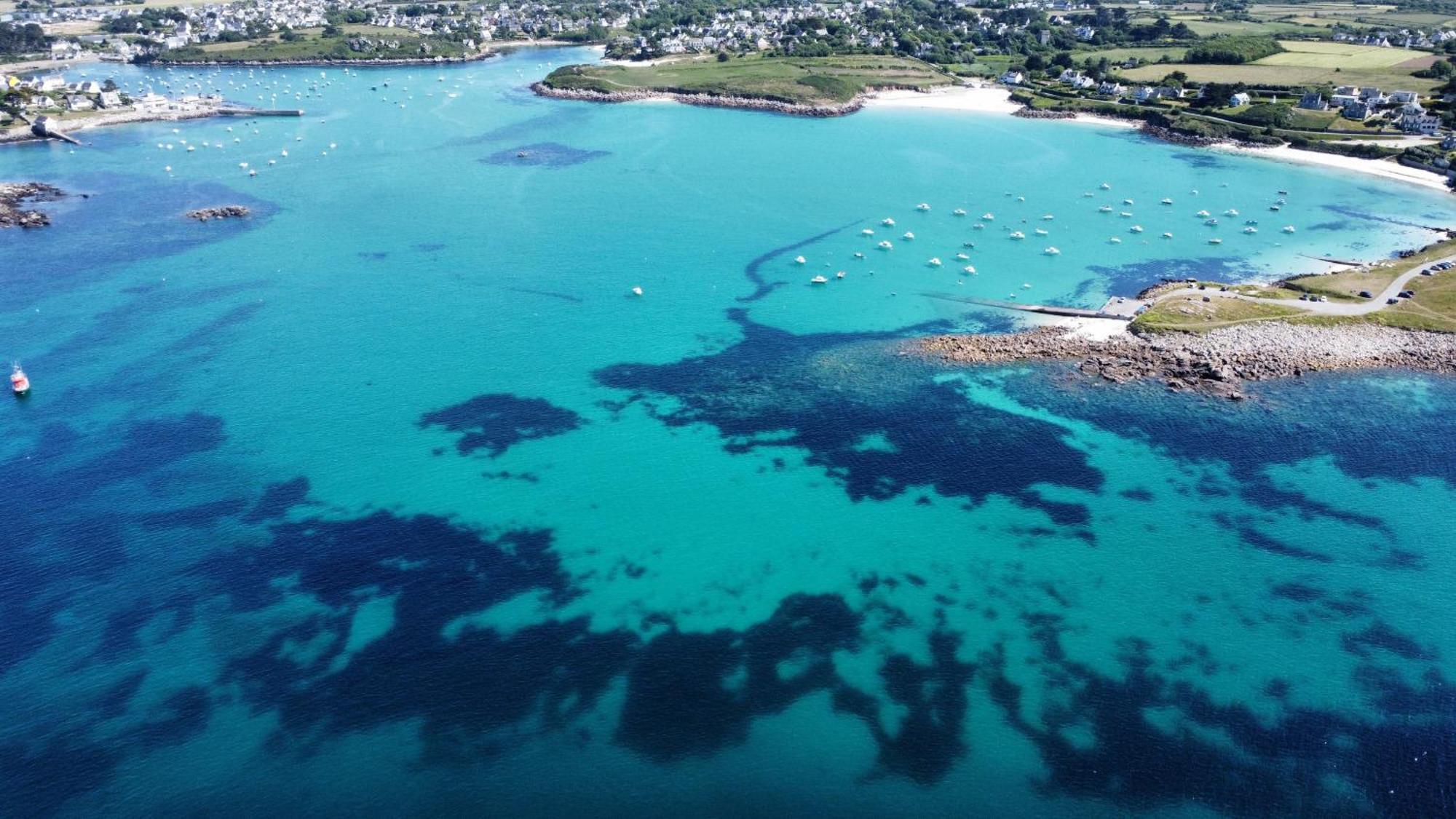 Ty Nevez - Jolie Maison Neuve Avec Petite Vue Mer Saint-Pabu  Extérieur photo
